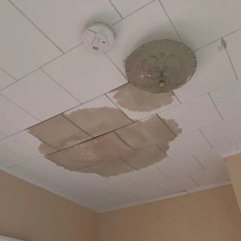 Ceiling Water Damage Repair in Juncal, PR
