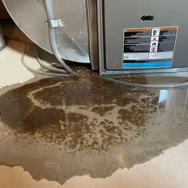 Pipe Burst and Leak Restoration in Juncal, PR