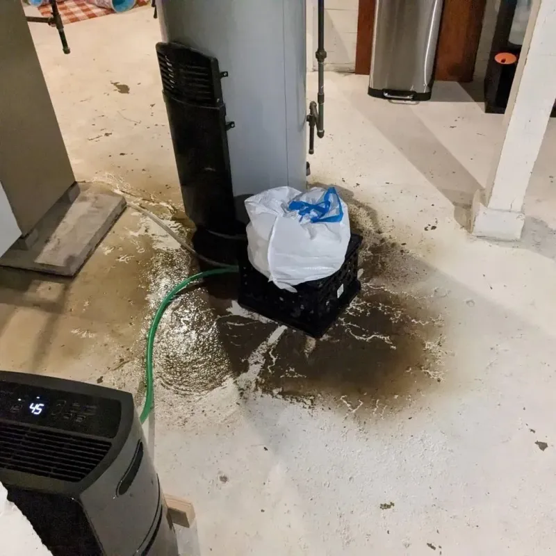 Sewage Backup Cleanup Service in Juncal, PR